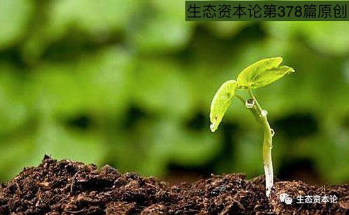 姜林親贊土壤修復(fù)專家 提升“免疫能力”是未來修復(fù)關(guān)鍵