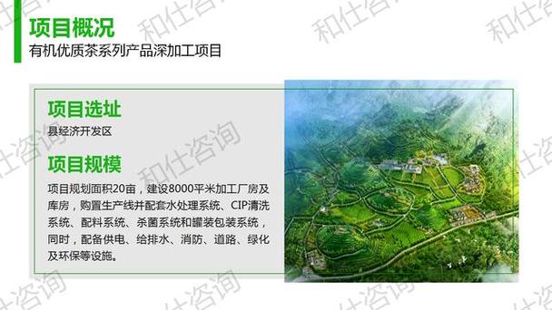 有機優質茶系列產品深加工項目投資建議書